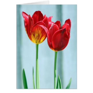Carte de voeux Tulip