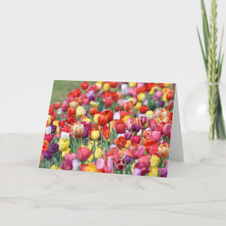 Carte de voeux Tulip Flowers