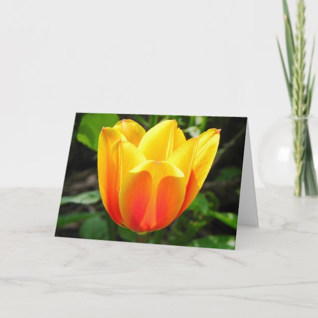 Carte de voeux Tulip Jaune (Devant)