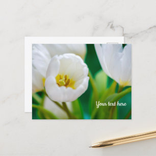 Carte de vœux Tulipe Blanche