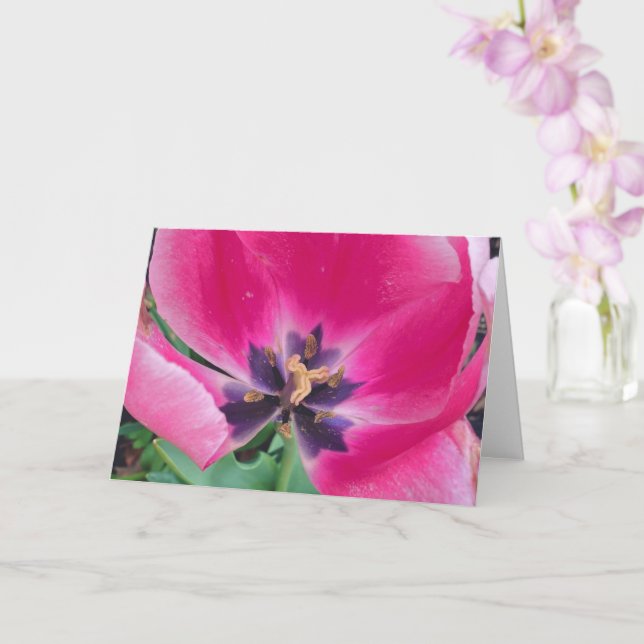 Carte de vœux Tulipe Rose (Orchidée)