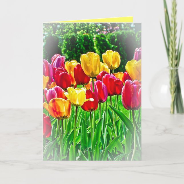 Carte de vœux Tulipes (Devant)