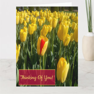 Carte de voeux Tulipes Jaunes