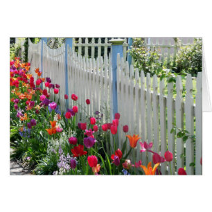 carte de voeux tulips jardin piquet blanc clôture