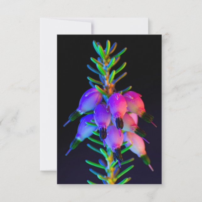 Carte de voeux UV Fleurs ultra violettes (Devant)