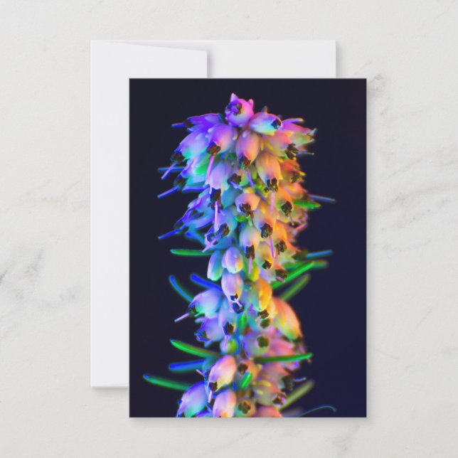 Carte de voeux UV Fleurs ultra violettes (Devant)