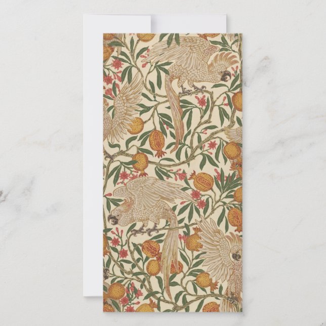 Carte de vœux V&A Cacatoès à huppe blanche (Devant)