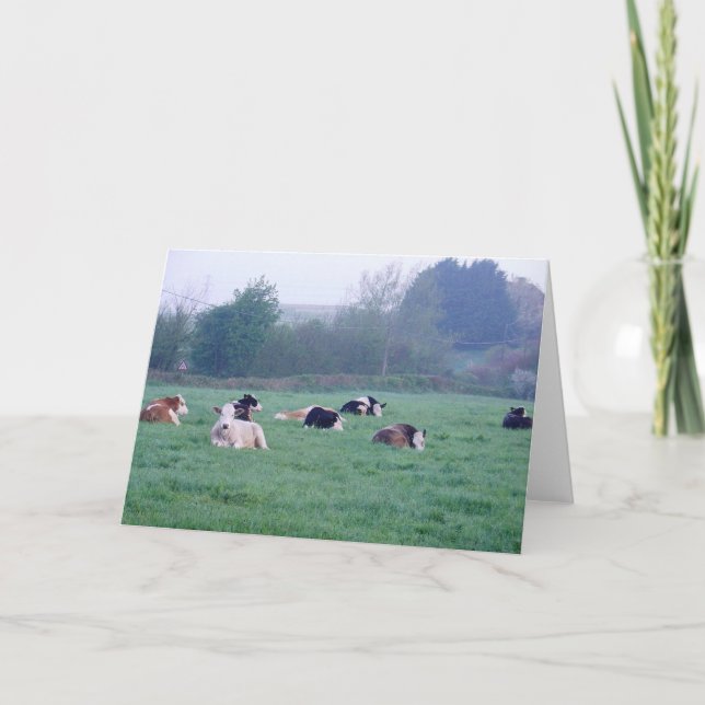 Carte de voeux - Vaches en couleur (Devant)
