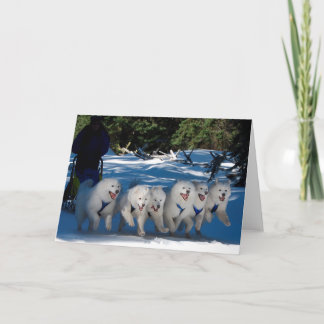 Carte de voeux "Ventilateur d'ombre"