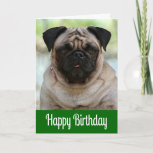 Carte de vœux verte pour l'anniversaire d'un chien