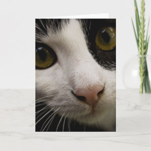 Carte de voeux Vertical : Mickey le chat