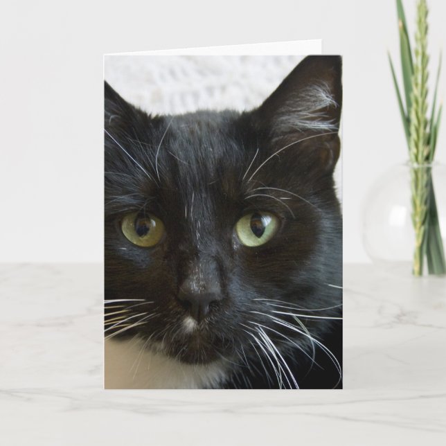 Carte de voeux verticale : Lilly le chat (Devant)