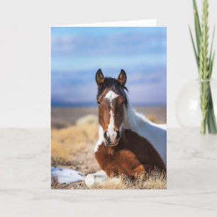 Carte de voeux verticale Wild Pinto