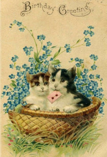 Cartes De Vœux Chaton Zazzle Fr Cartes De Vœux Chaton Zazzle Fr