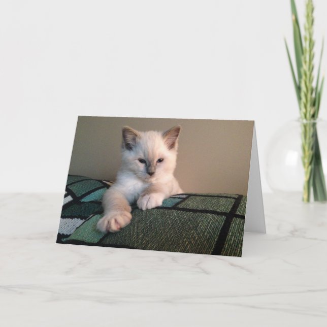 Carte de voeux vide (Devant)