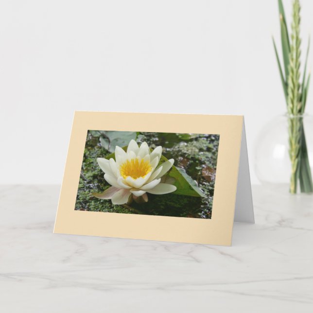 Carte de voeux vide (Devant)