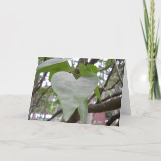 Carte de voeux vierge