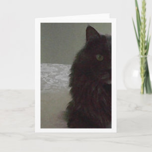 Carte de voeux vierge