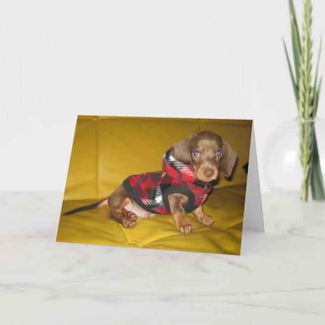 Carte de voeux vierge à chiot mignonne (Devant)