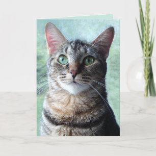 Carte de vœux vierge au chat tigré aux yeux verts