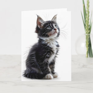 Carte de vœux vierge avec chat à longs poils noir
