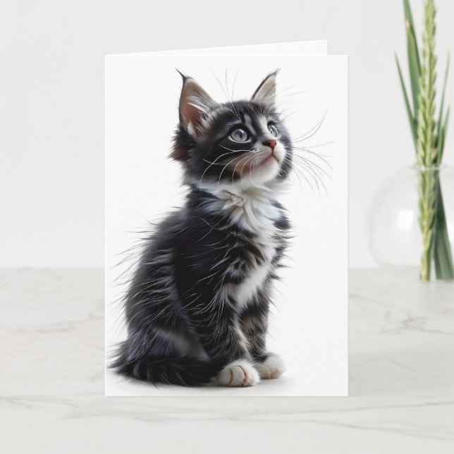 Carte de vœux vierge avec chat à longs poils noir  (Devant)