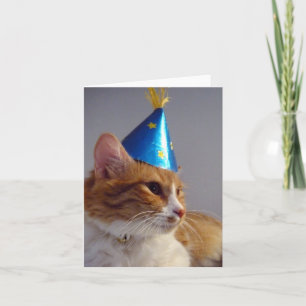 Carte de vœux vierge avec chat dans un chapeau de