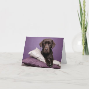 Carte de vœux vierge avec chiot Labrador Retriever