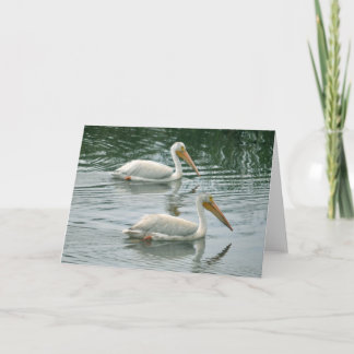 Carte de voeux vierge avec la photo de pélican