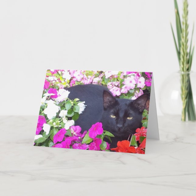 Carte de voeux vierge avec le chat en fleurs (Devant)