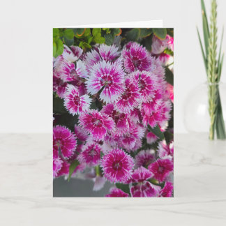 Carte de vœux vierge avec petites fleurs roses