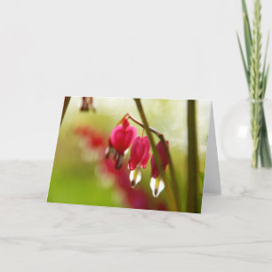 Carte de vœux vierge avec photo de Bleeding Hearts