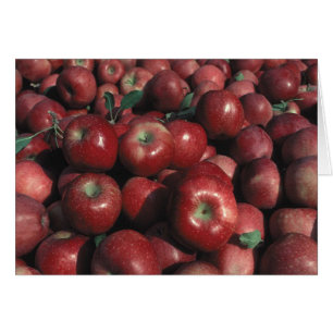 Carte de vœux vierge avec photo de pomme Red Delic