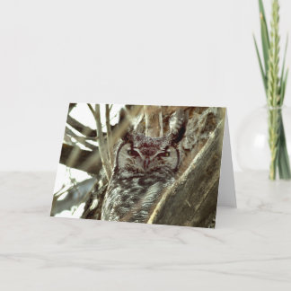 Carte de voeux vierge avec photo Great Horned Owl