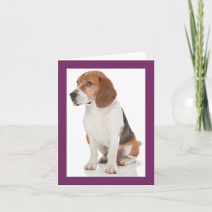 Carte de vœux vierge Beagle chiot chien violet