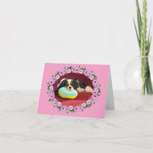 Carte de vœux vierge Cavalier King Charles Spaniel