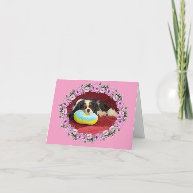 Carte de vœux vierge Cavalier King Charles Spaniel (Devant)