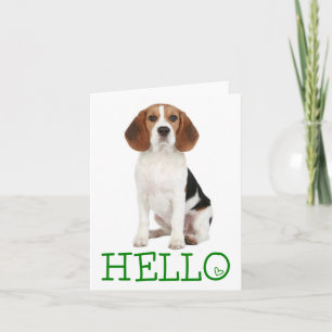 Carte de vœux vierge Chien Beagle chiot Bonjour