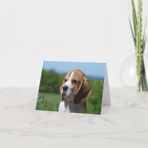 Carte de vœux vierge Chien Beagle Puppy
