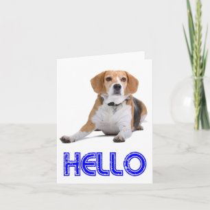 Carte de vœux vierge Chien Beagle Puppy Bonjour