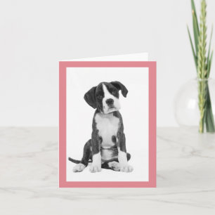 Carte de vœux vierge Chien Boxer chiot