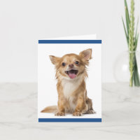 Carte de vœux vierge Chien Chihuahua Chiot