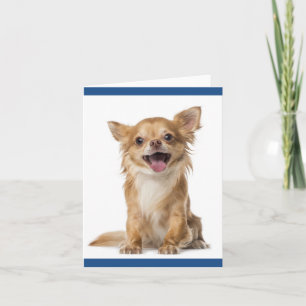Carte de vœux vierge Chien Chihuahua Chiot