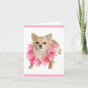 Carte de vœux vierge Chien Chihuahua chiot