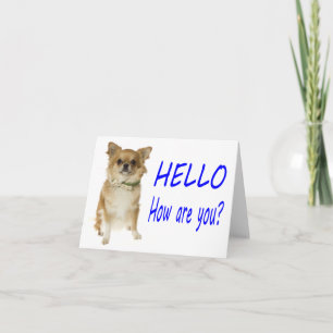 Carte de vœux vierge Chien Chihuahua chiot