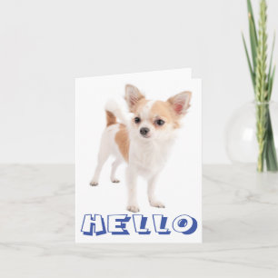 Carte de vœux vierge Chien Chihuahua chiot Bonjour