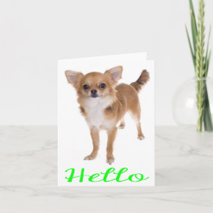 Carte de vœux vierge Chien Chihuahua chiot Bonjour