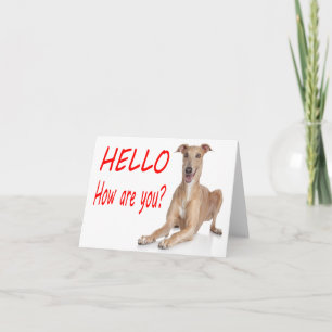 Carte de vœux vierge Chien chiot lévrier italien B