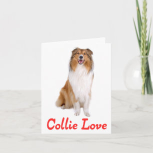 Carte de vœux vierge Chien Colley Brun et blanc