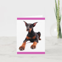 Carte de vœux vierge Chien Doberman Pinscher